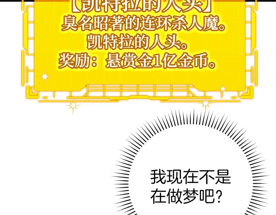 第233页