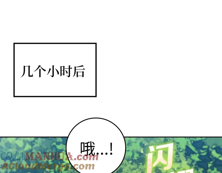 第233页