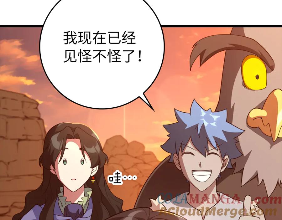 第205页