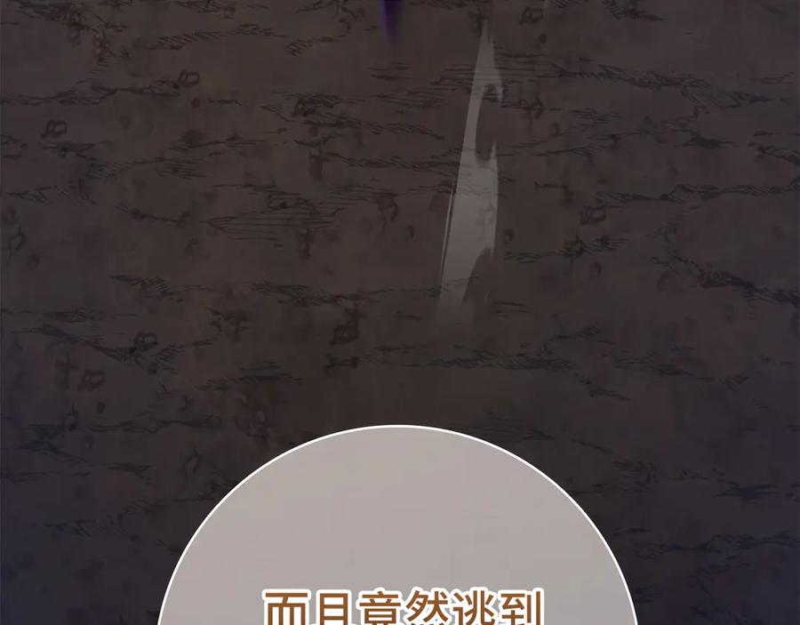 第238页