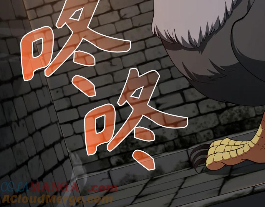 第209页