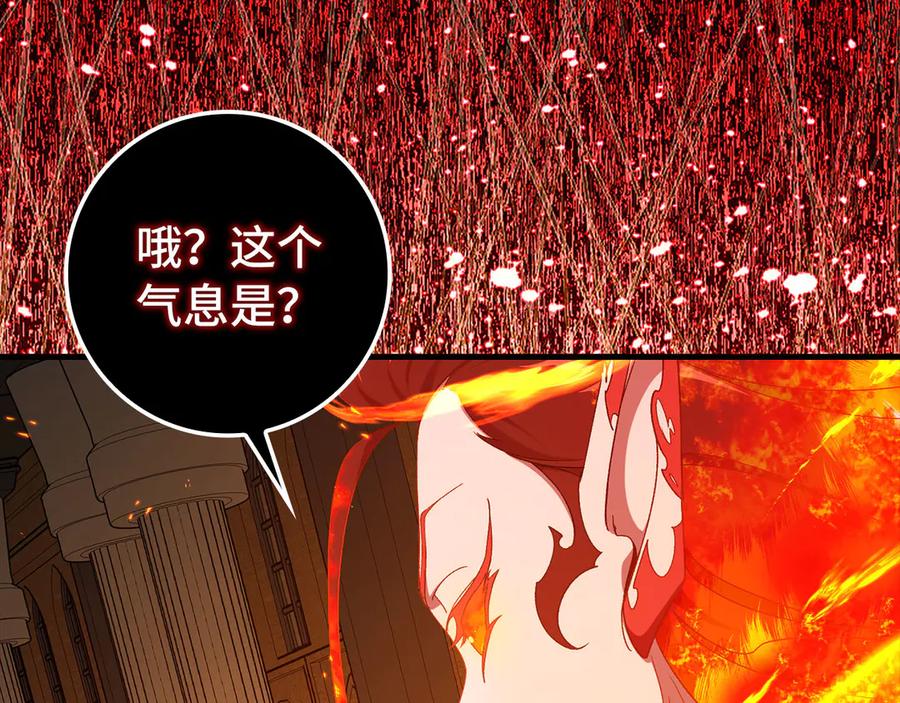 第211页