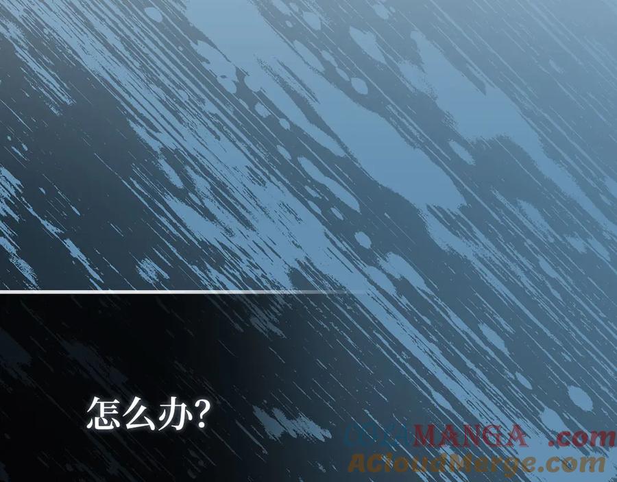 第217页