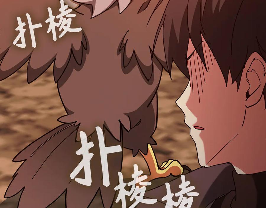 第214页