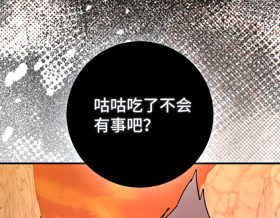 第219页
