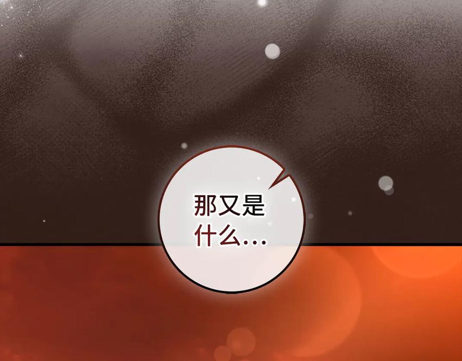 第224页