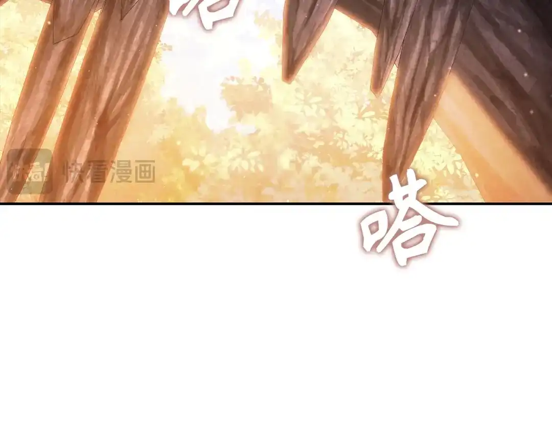 第255页
