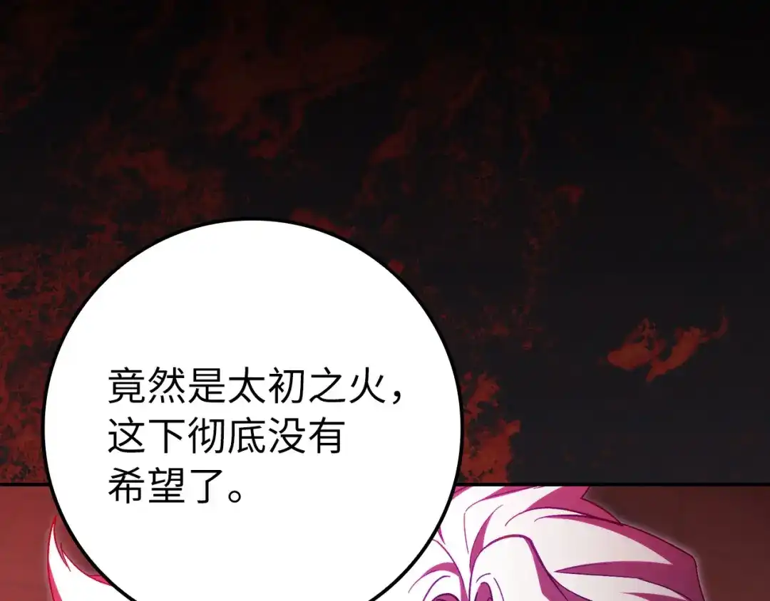第223页