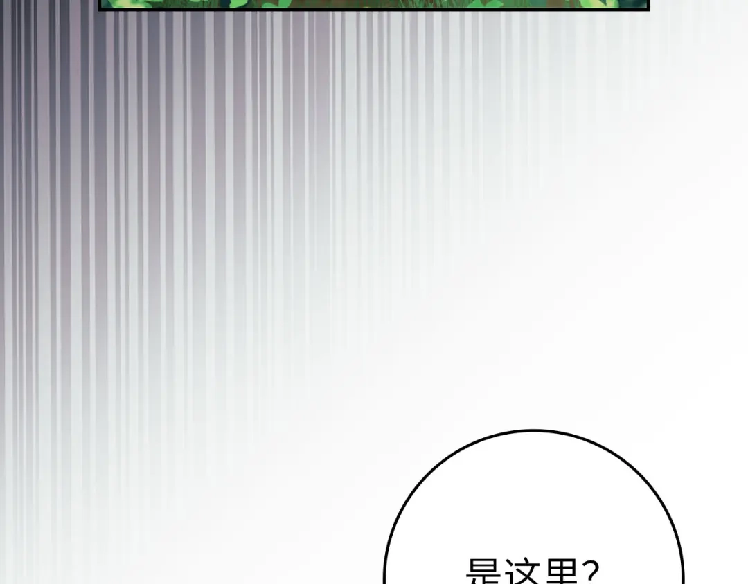 第215页