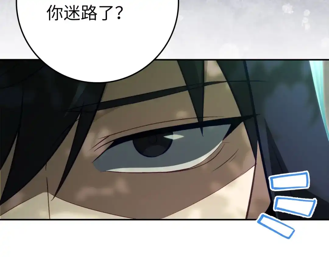 第223页