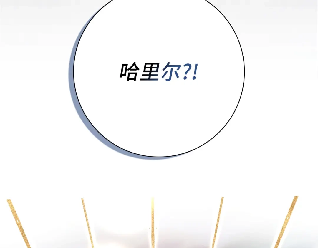 第237页