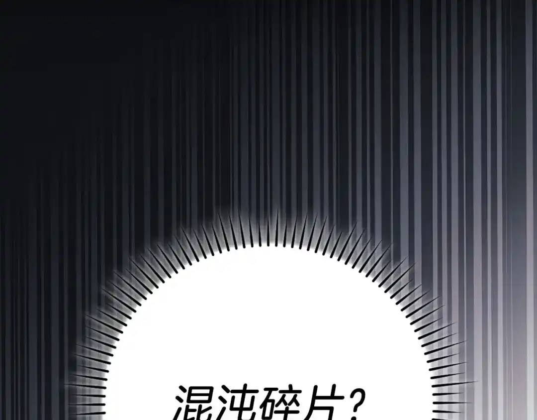 练级20年，出门就是满级反派 第142话 混沌碎片 第104页