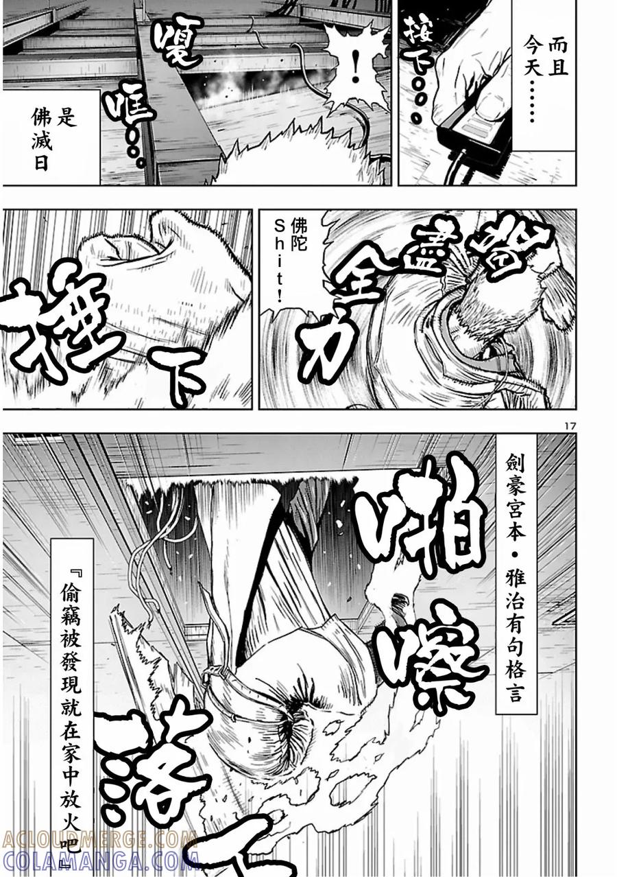 第17页