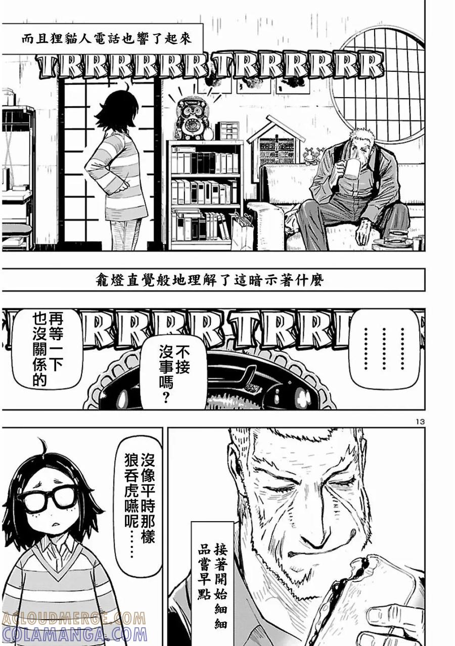 第13页