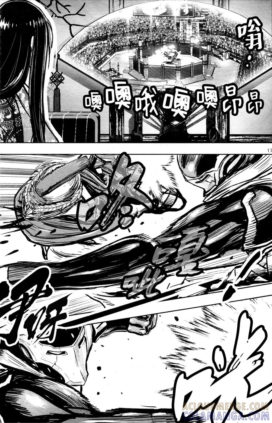 第17页