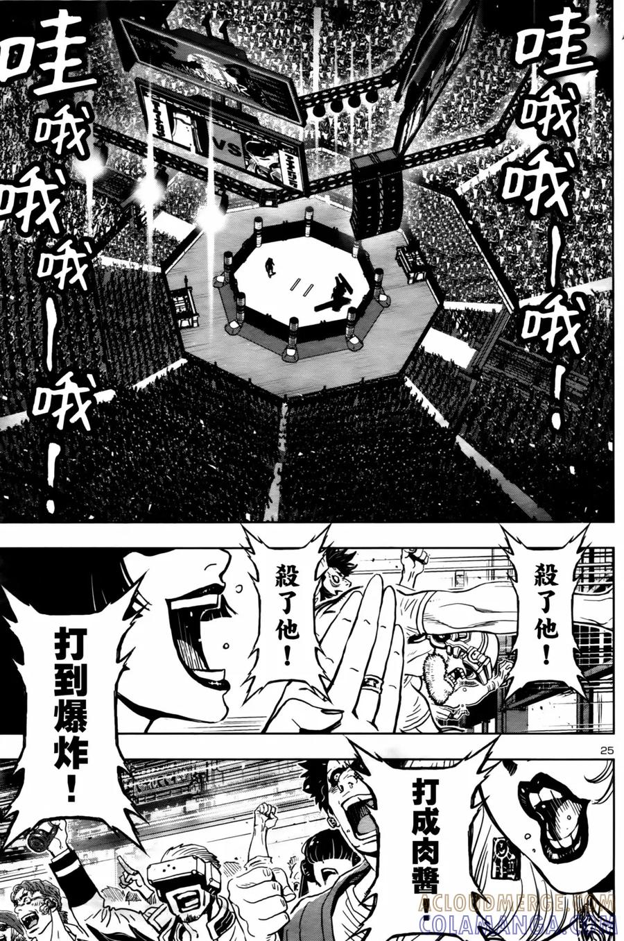 第25页