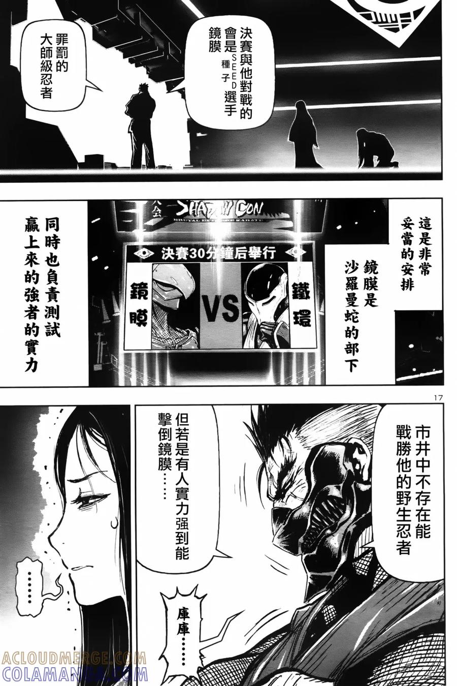 第17页