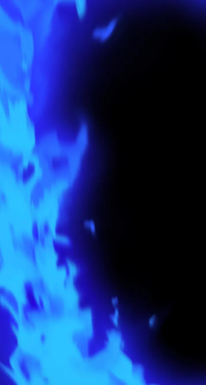 第238页