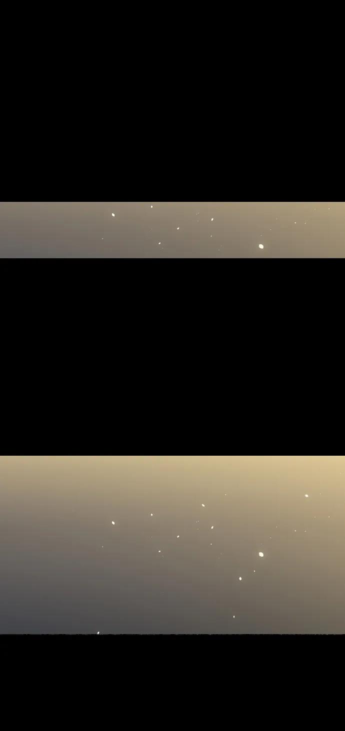 第242页