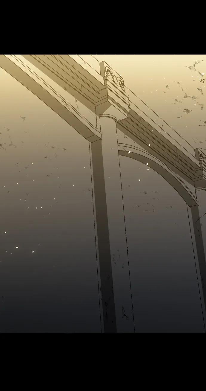 第243页
