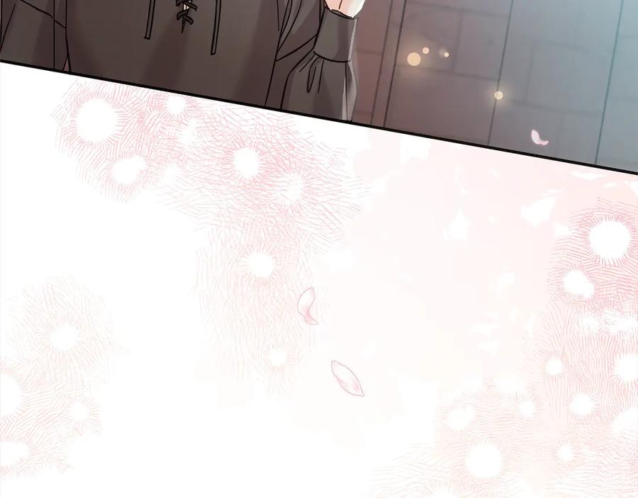 第224页