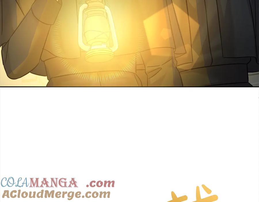 第204页