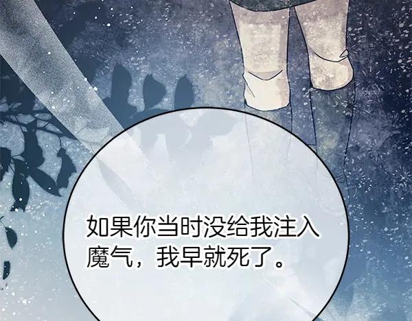 第223页