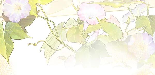 第234页
