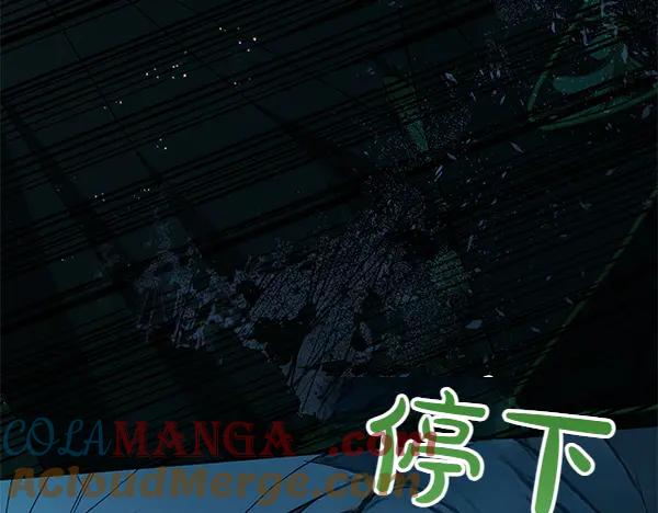 第217页