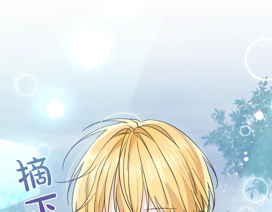 第203页