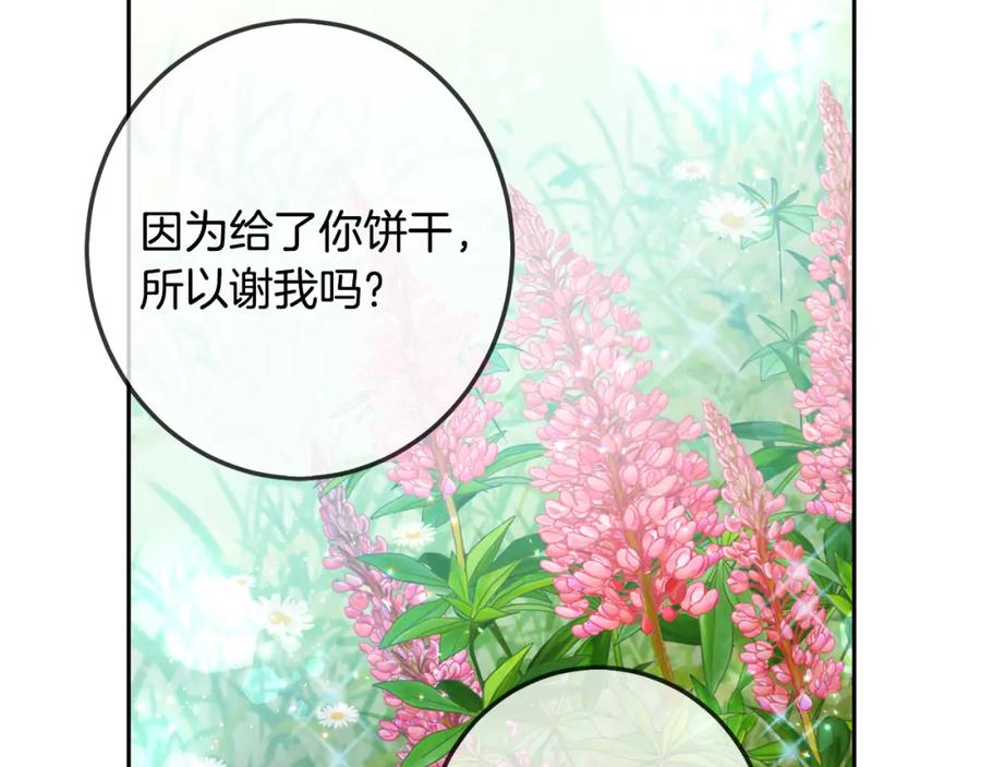 第224页
