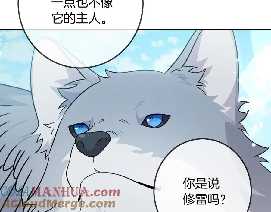第185页