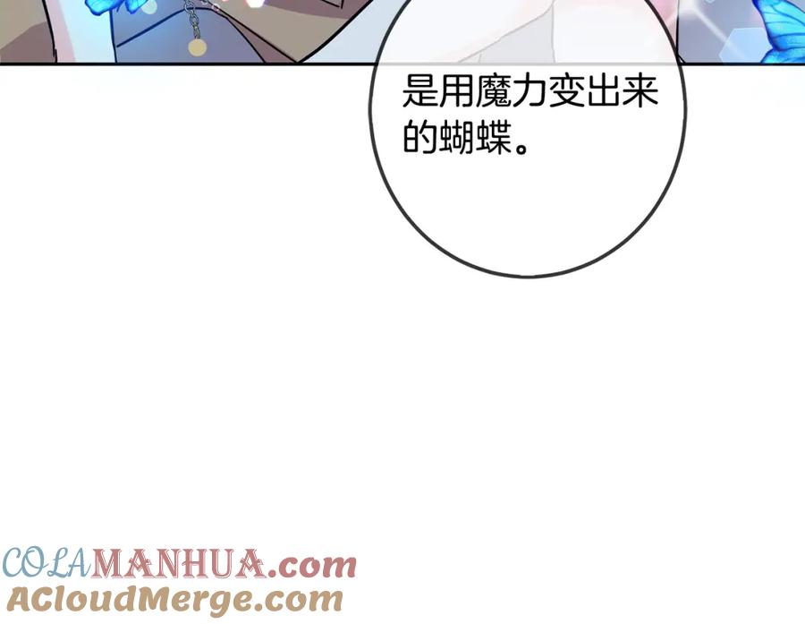 第205页