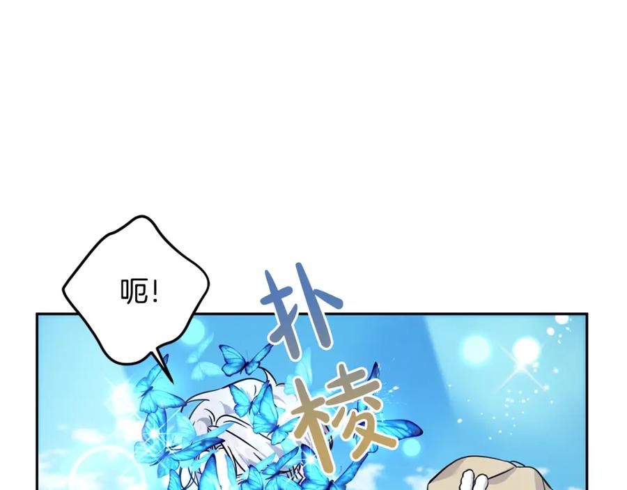 第206页