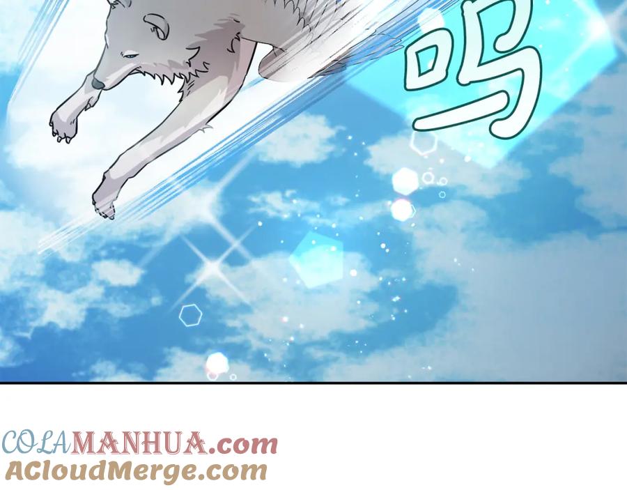 第217页