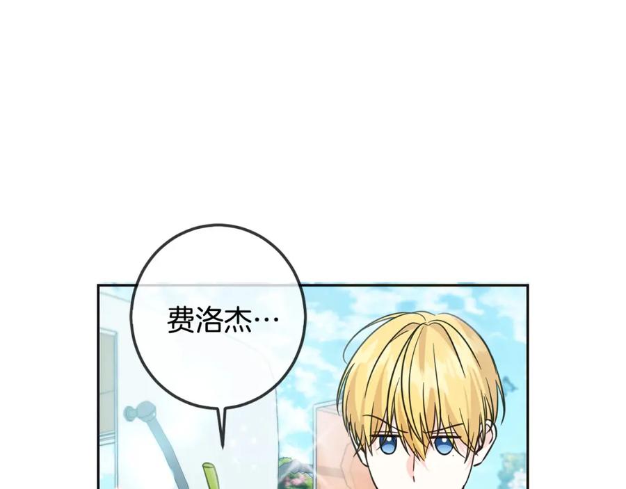 第206页