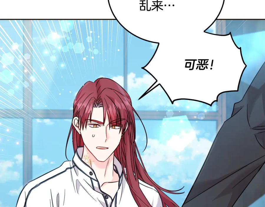 第223页