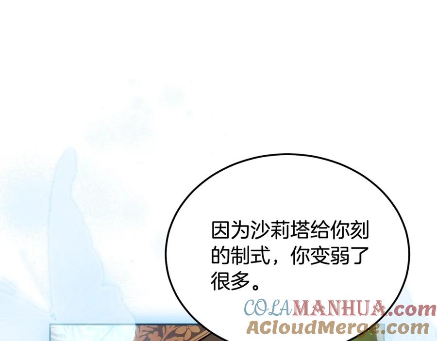 第217页