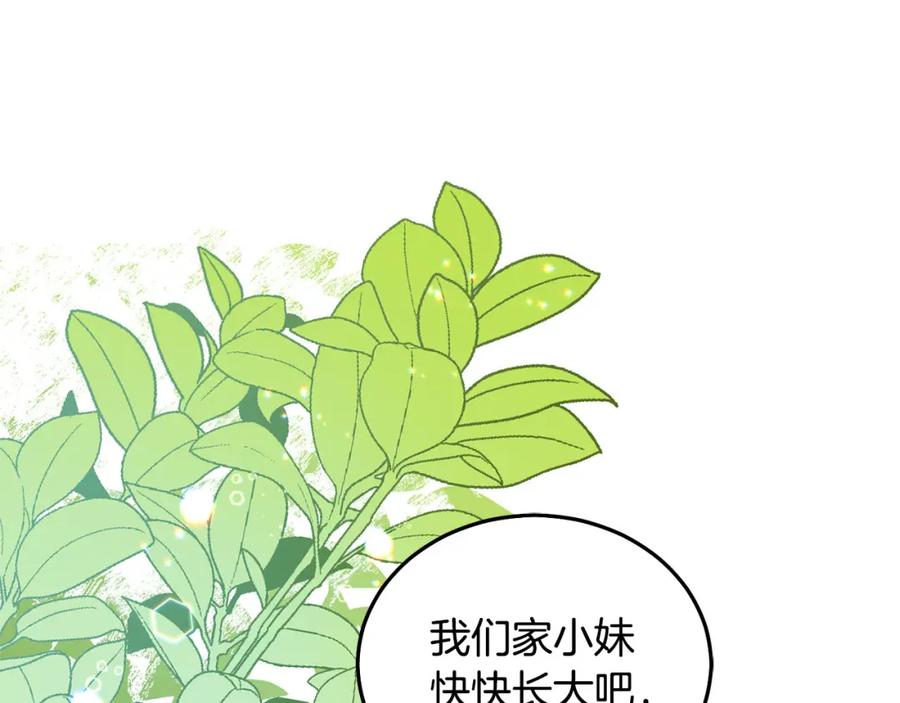 第224页