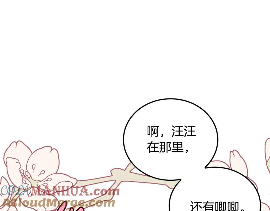 第205页