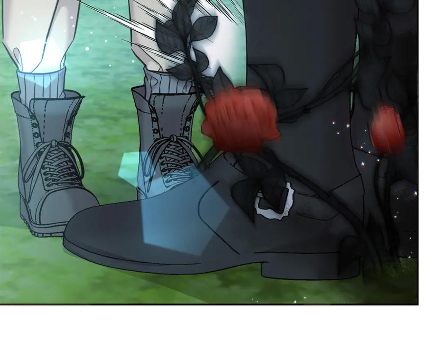 第215页