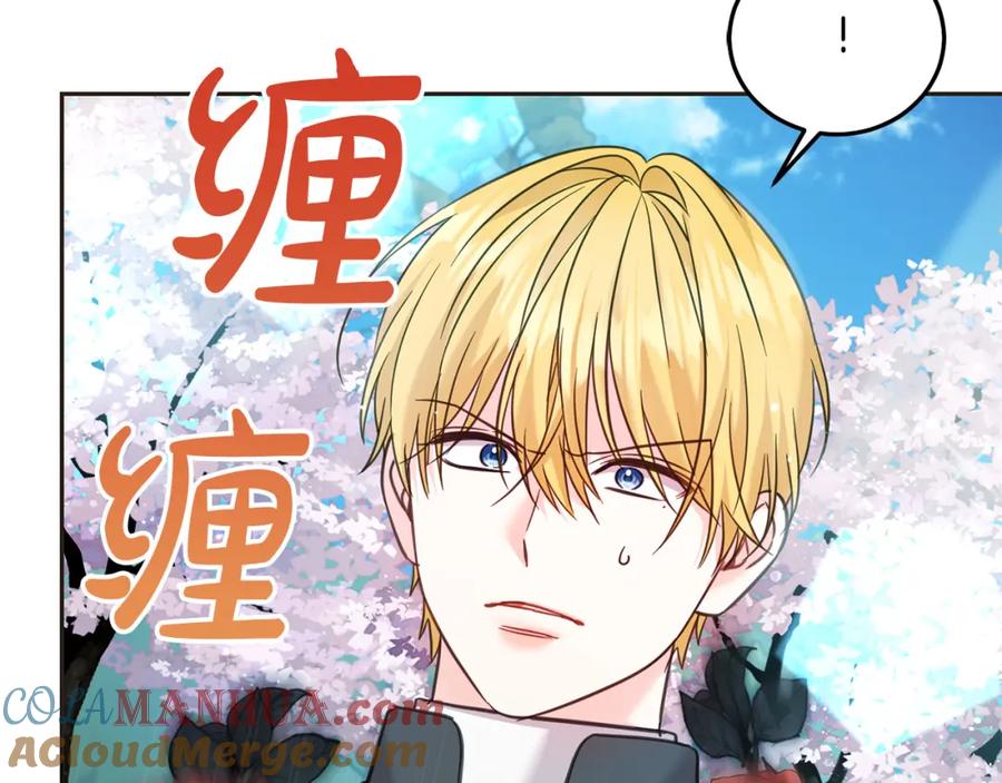 第217页