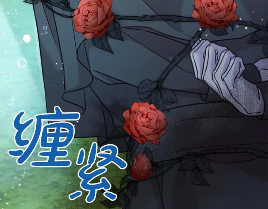 第224页