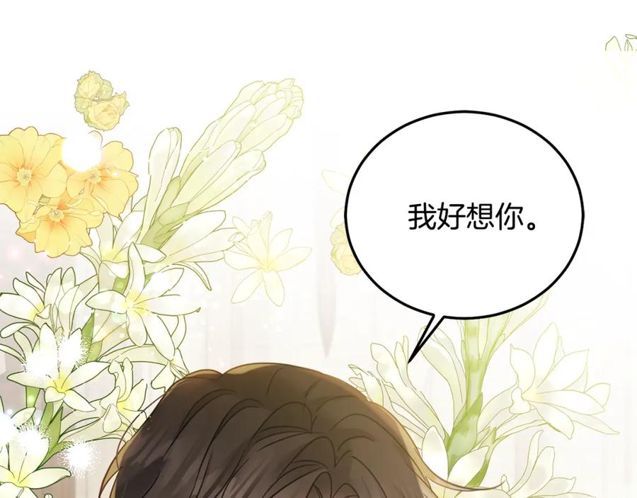 第238页
