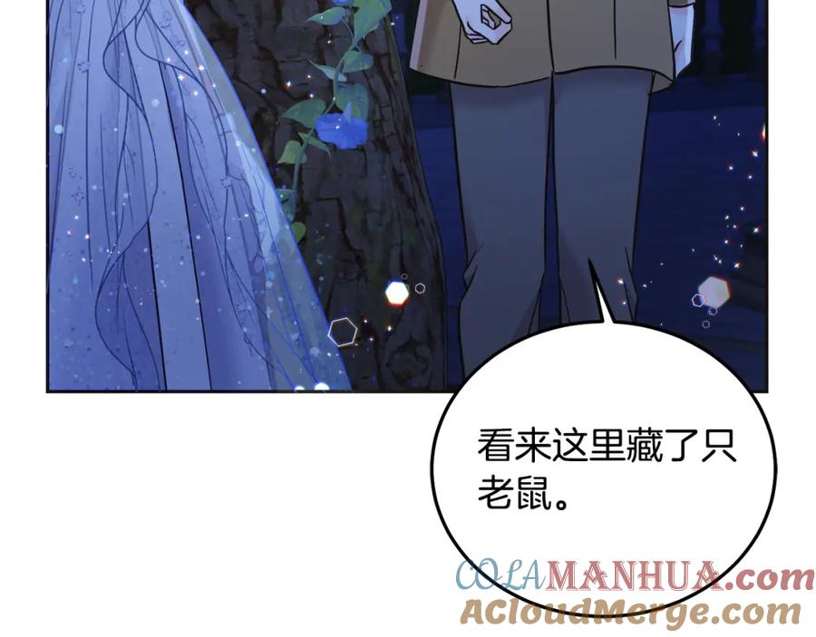 第213页