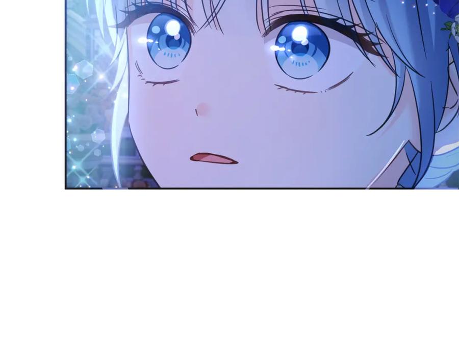 第223页