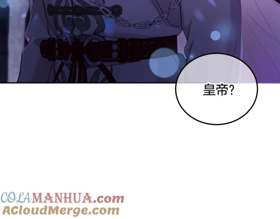 第233页