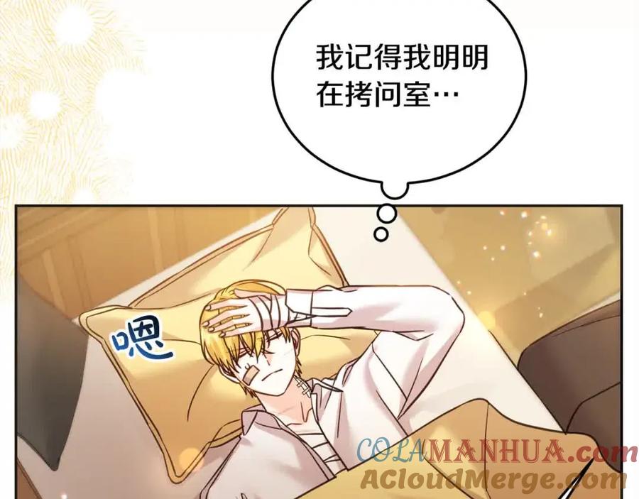 第185页
