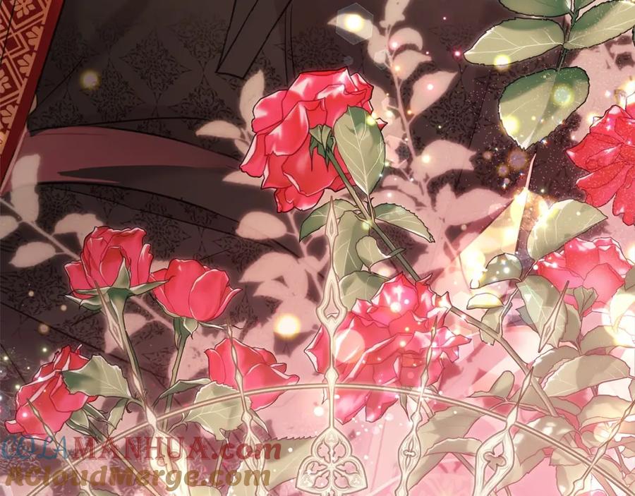 第224页