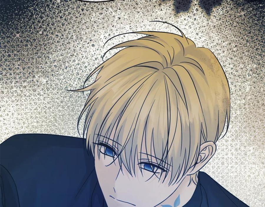 第216页